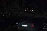 На Беговой дерево упало на внедорожник 