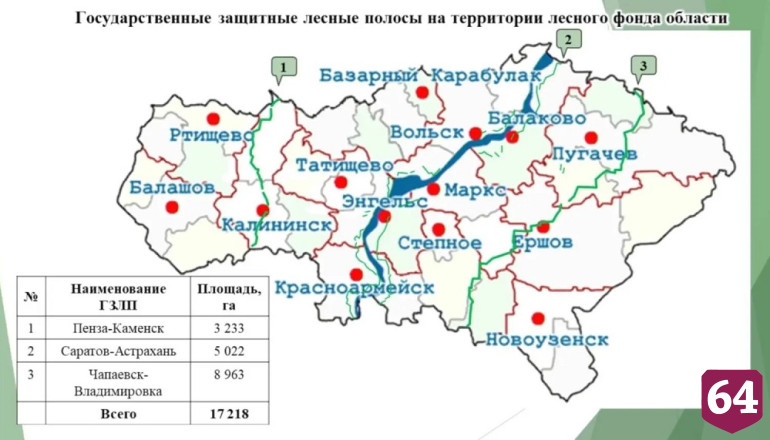 В Саратовской области укрепят защитные лесные полосы