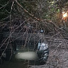 В Саратове рухнувшая ветка повредила автомобиль 
