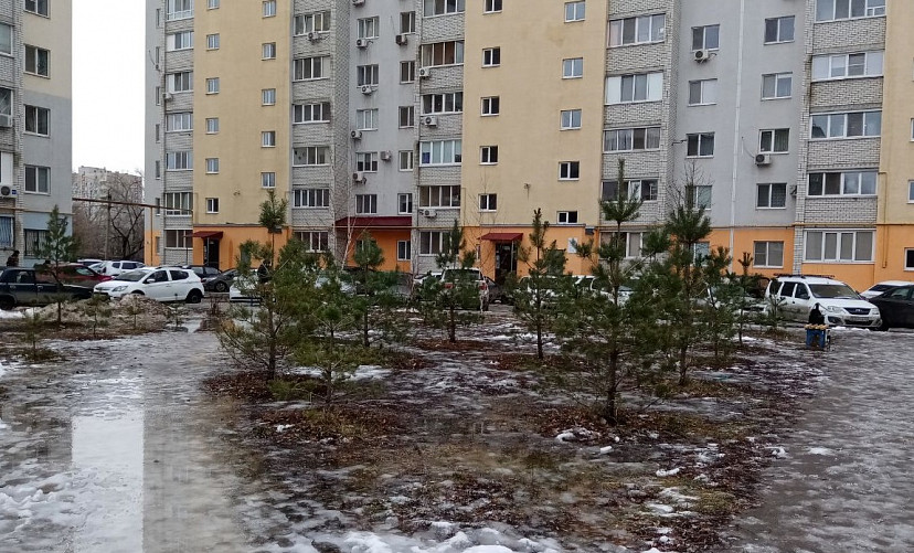 В Саратовской области потеплеет до плюс семи
