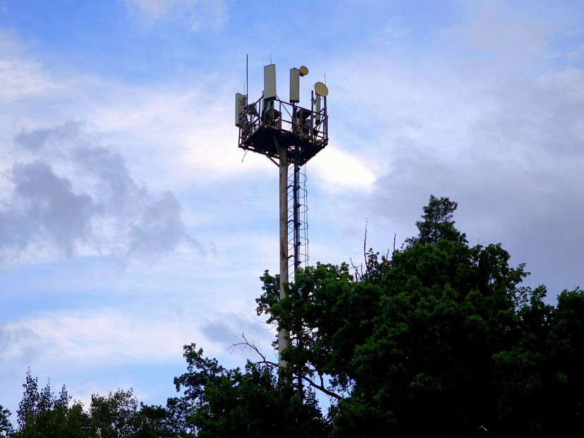 МТС обеспечила связью LTE один из крупнейших тепличных комплексов Саратовской области