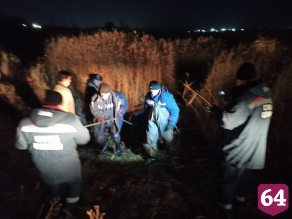В Елшанке спасатели вытащили увязшего в камышах алабая