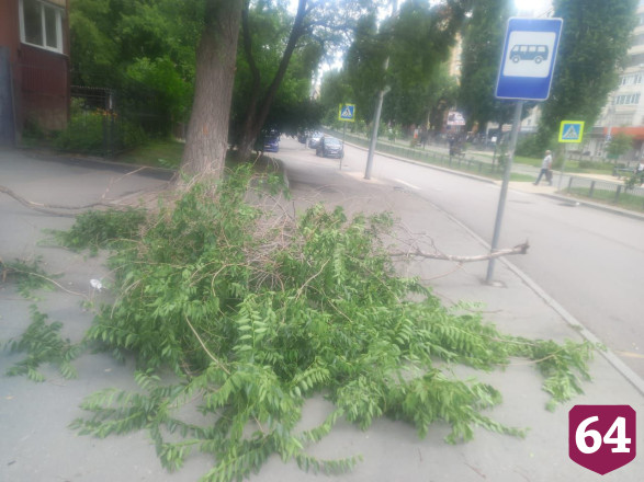 В центре Саратова упавшая ветка покалечила женщину