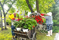 Пожилые жители Саратовской области круглогодично занимаются гарденотерапией