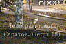 Саратовцы просят не обижать гуляющих по улицам лис