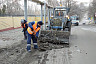 Коммунальщики Саратова устраняют последствия сильного ветра