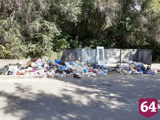 Саратовцы пожаловались на логово крыс в свалке отходов
