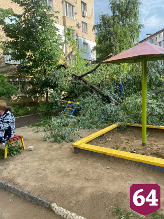 В Саратове деревья упали на автомобили и детскую площадку