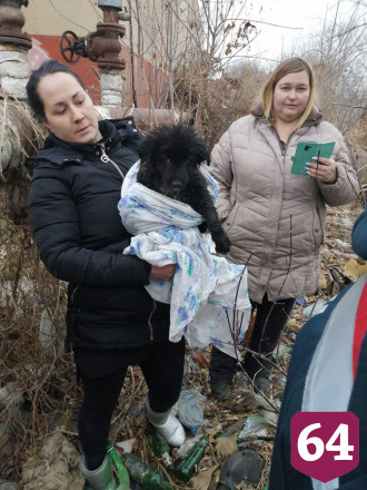 Спасатели вытащили щенка из колодца с кипятком