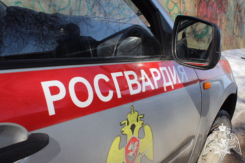 В Саратове хулиганы после погони избили водителя внедорожника 