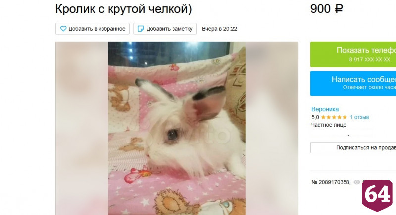 В Саратове продают покорителя дамских сердец с крутой челкой