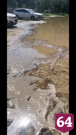 В Энгельсе нашли «море» из фекалий