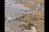 В Энгельсе нашли «море» из фекалий