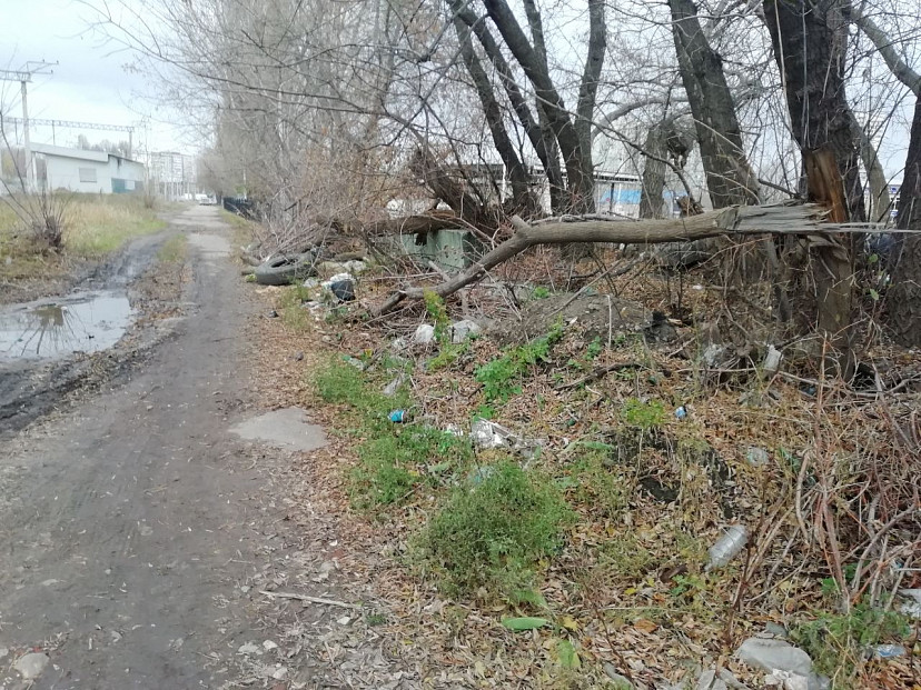 В Саратове бизнес обяжут убрать многолетнюю свалку