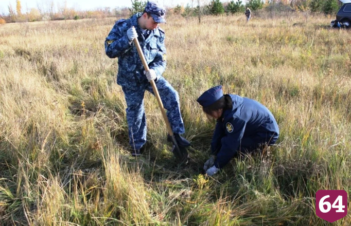 Сотрудники саратовской колонии внесли вклад в восстановление лесов