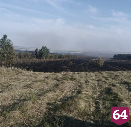 В Саратовской области сгорели 7 гектаров леса