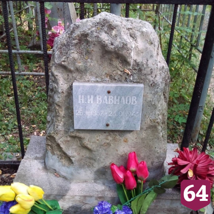 Саратовцам на Воскресенском кладбище расскажут о выдающихся агрономах и селекционерах 