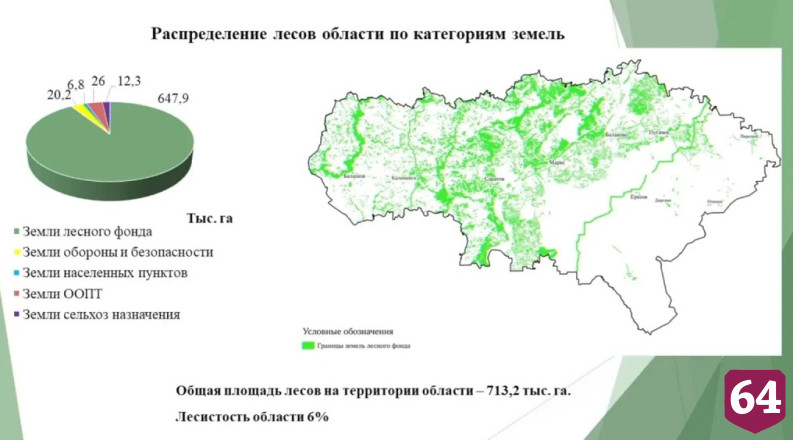 В Саратовской области укрепят защитные лесные полосы