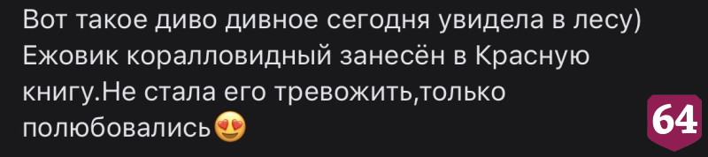 В саратовском лесу нашли эффектный краснокнижный ежовик  