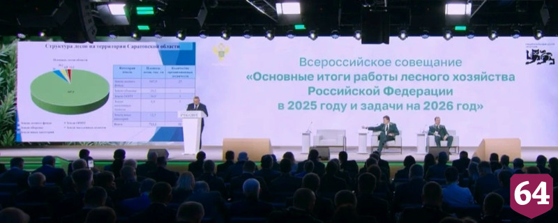 В Саратовской области актуализировали границы лесничеств 