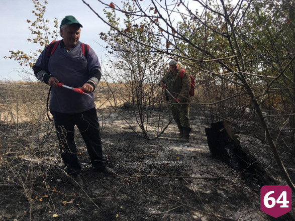 В Саратовской области на месте лесного пожара выставили караульных 