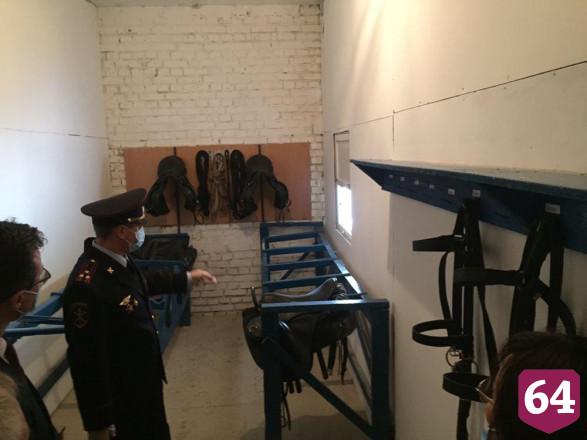 Полицейские рассказали о судьбе отслуживших срок лошадей 