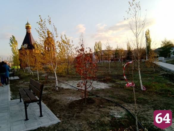 В парке в Саратовской области появятся светящиеся фонтаны 