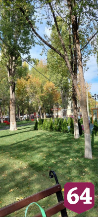 В Саратове без полива засыхает сквер