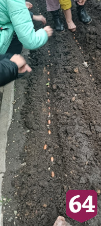 Под Саратовом дети помогали священнику сажать желуди