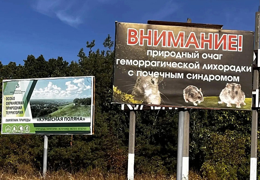На Кумысной поляне обработают 520 гектаров от грызунов