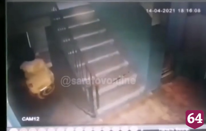 В Саратове доставщик еды похитил собаку 