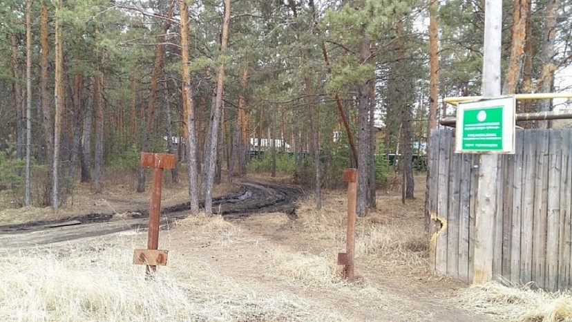 Саратовец самовольно захватил участок леса и получил штраф 