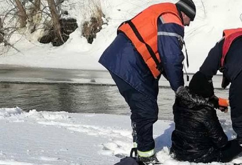 Под Саратовом спасли провалившуюся под лед 12-летнюю школьницу