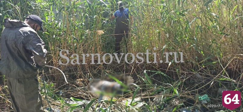 В канаве у морга найдено тело неизвестного 