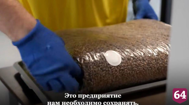 Саратовское предприятие производит до 300 тонн зернового мицелия в месяц