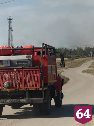 В Саратове огонь от травы перекинулся на лес