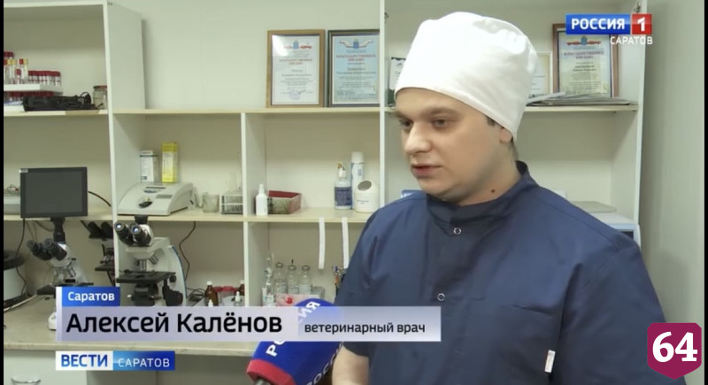 В Саратовской области трудоустроили 60 ветеринарных врачей 