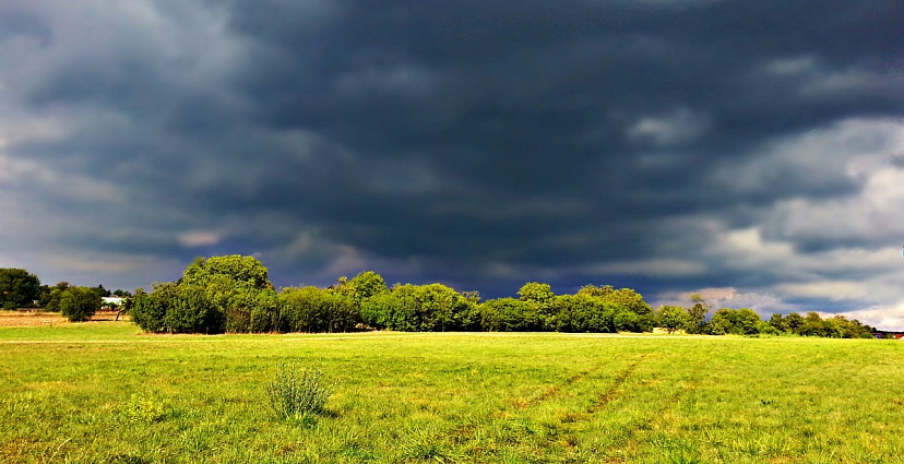 Саратовскую область накроют дожди с грозами 