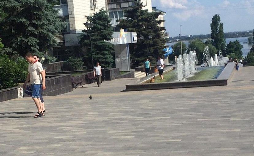 Жители Саратова в жару купаются в фонтанах с собаками