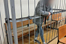 Ученик 9-го класса раскаялся в избиении матери до смерти
