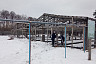 Для восстановления саратовских лесов вырастят 10 миллионов саженцев