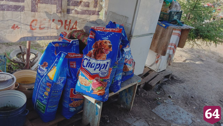 Волонтеры Балаковской АЭС оказали помощь приюту для животных 