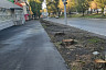 В Саратове незаконно спилили деревья ради парковки 