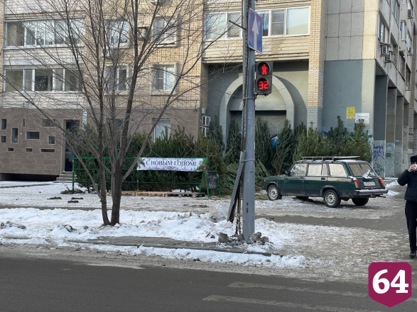 Саратовцы озвучили цены на новогодние елки