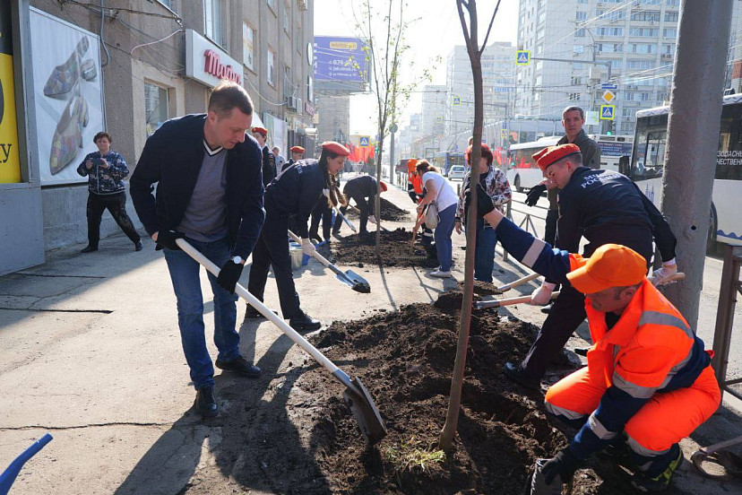 Губернатор высадил клены в центре Саратова