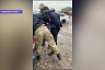 Под Саратовом «бизнесмены» украли запчасти от комбайнов на 3 миллиона рублей