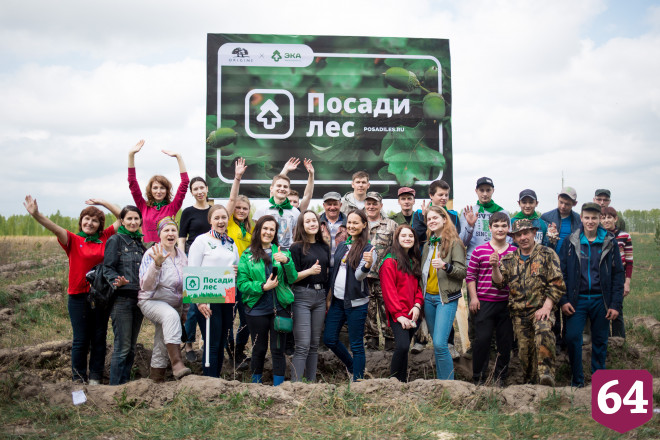 Саратовцы могут подарить учителям на День знаний вместо букетов деревья  
