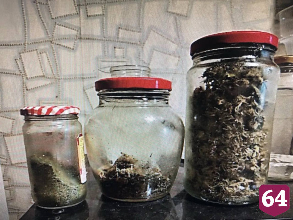 У жителя Энгельса изъяли крупную партию марихуаны