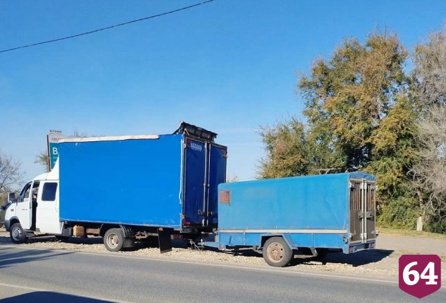 В Саратовской области пресекли попытки незаконной перевозки 85 коров