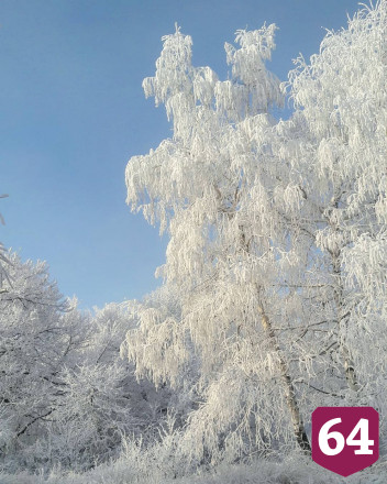 Саратовцы делятся в сети фотографиями первых заснеженных пейзажей
